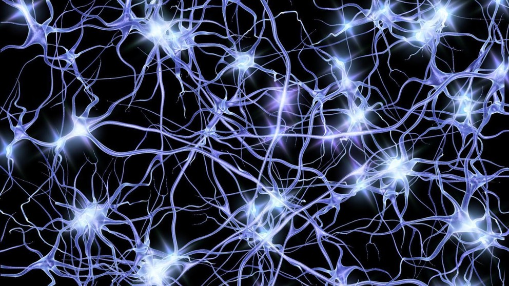 Neuron image